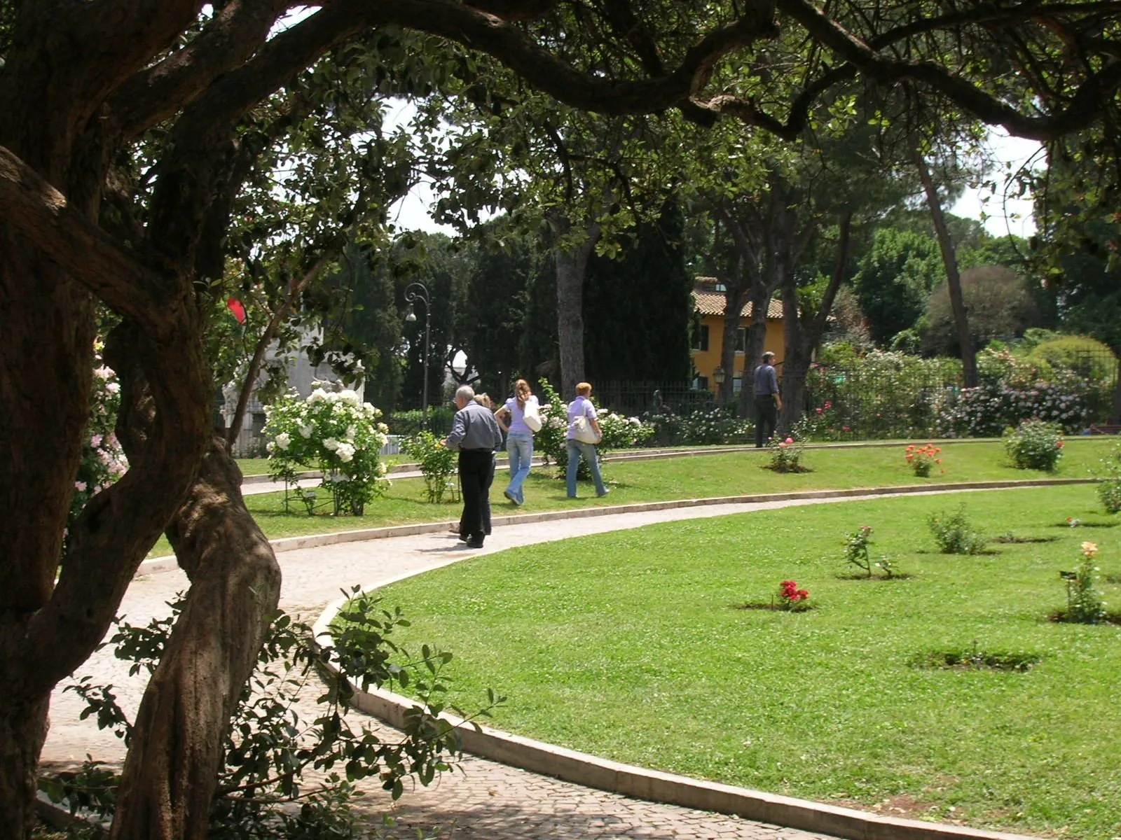 Viale del Roseto Comunale di Roma in primavera, con prati curati, cespugli di rose in fiore, pini e visitatori a passeggio