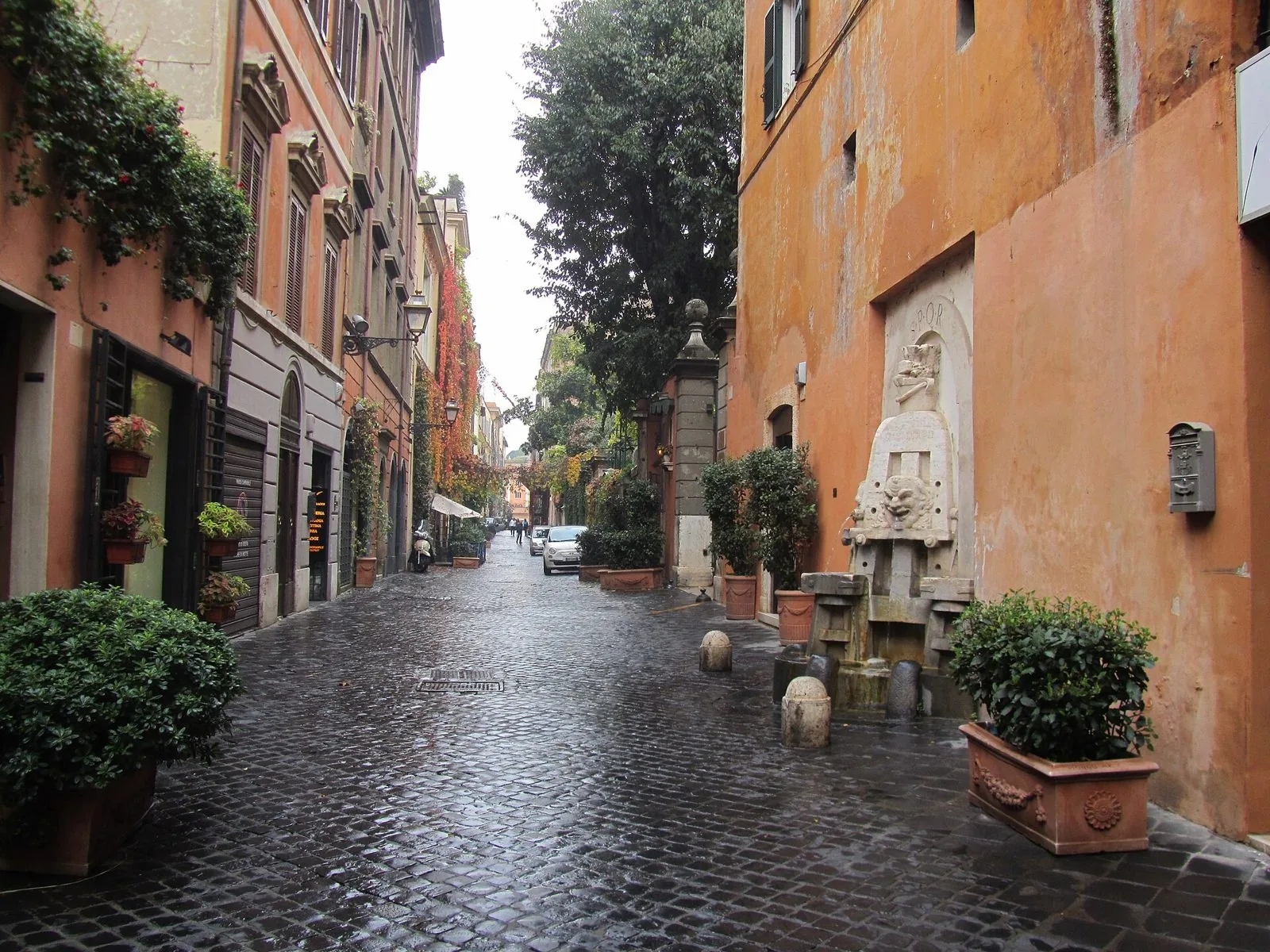 Via Margutta a Roma dopo la pioggia, con i sampietrini bagnati, piante in vaso e una fontanella in pietra